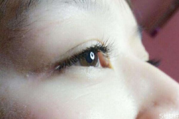 接眼睫毛的壞處 為什么不能經(jīng)常接眼睫毛 接眼睫毛的壞處 為什么不能經(jīng)常接眼睫毛