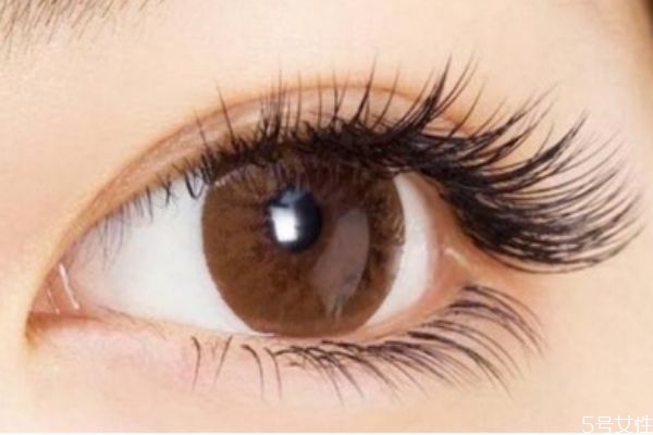 假睫毛會不會導(dǎo)致眼皮松 假睫毛貼久了眼皮會松嗎 假睫毛會不會導(dǎo)致眼皮松 假睫毛貼久了眼皮會松嗎