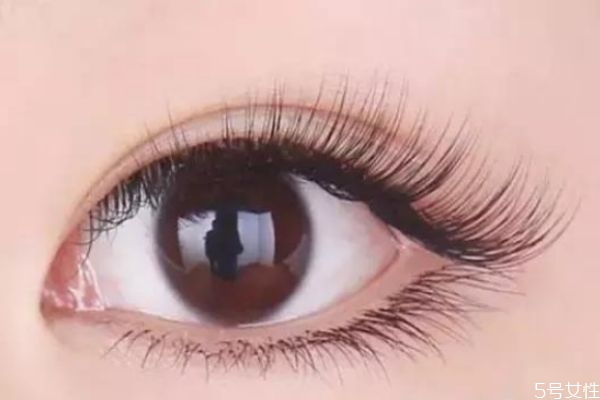 燙睫毛對睫毛有沒有損傷 燙睫毛會傷睫毛嗎 燙睫毛對睫毛有沒有損傷 燙睫毛會傷睫毛嗎