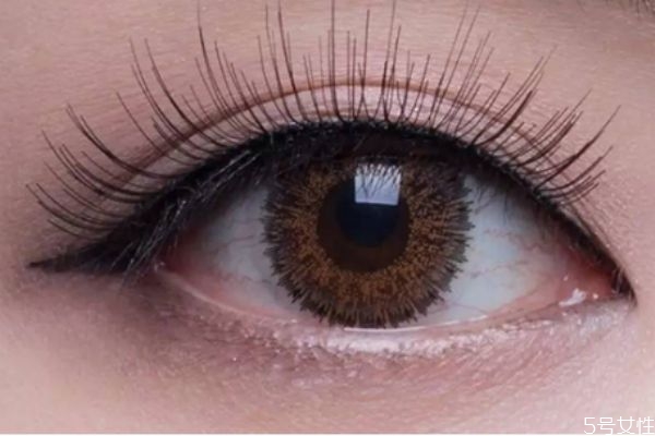 假睫毛會不會導(dǎo)致眼皮松 假睫毛貼久了眼皮會松嗎 假睫毛會不會導(dǎo)致眼皮松 假睫毛貼久了眼皮會松嗎