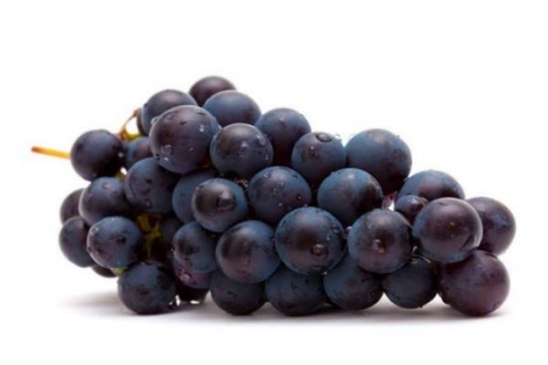 吃葡萄減肥是真的嗎 葡萄有減肥的效果嗎 吃葡萄減肥是真的嗎 葡萄有減肥的效果嗎