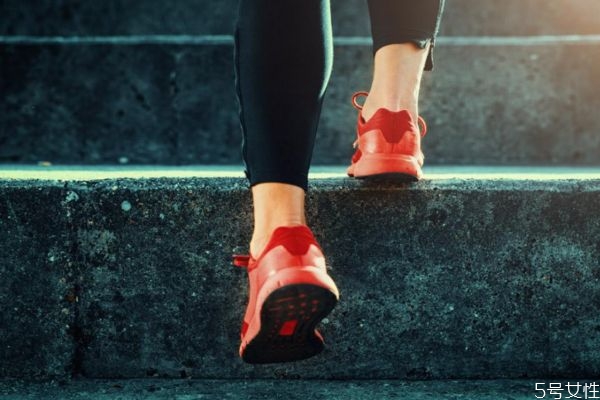 爬樓梯可以提臀嗎 爬樓梯能提臀嗎 爬樓梯可以提臀嗎 爬樓梯能提臀嗎