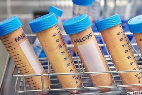 吸脂提臀安全嗎 吸脂提臀有風險嗎 吸脂提臀安全嗎 吸脂提臀有風險嗎