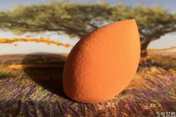 real techniques美妝蛋哪款好用 英國(guó)rt美妝蛋好物盤點(diǎn) real techniques美妝蛋哪款好用 英國(guó)rt美妝蛋好物盤點(diǎn)