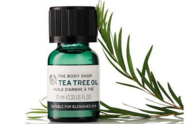 茶樹(shù)精油的作用 茶樹(shù)精油的功效 茶樹(shù)精油的作用 茶樹(shù)精油的功效