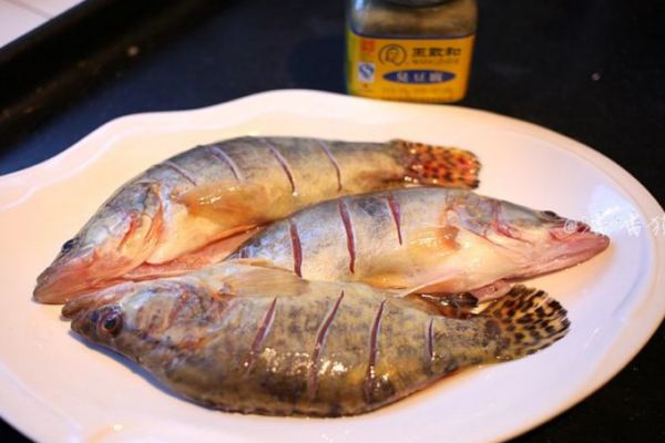 臭鱖魚(yú)怎么做好吃 臭鱖魚(yú)的正宗做法 臭鱖魚(yú)怎么做好吃 臭鱖魚(yú)的正宗做法