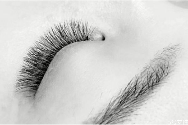 嫁接睫毛后怎么畫眼線才好看 嫁接完睫毛怎么畫眼影 嫁接睫毛后怎么畫眼線才好看 嫁接完睫毛怎么畫眼影