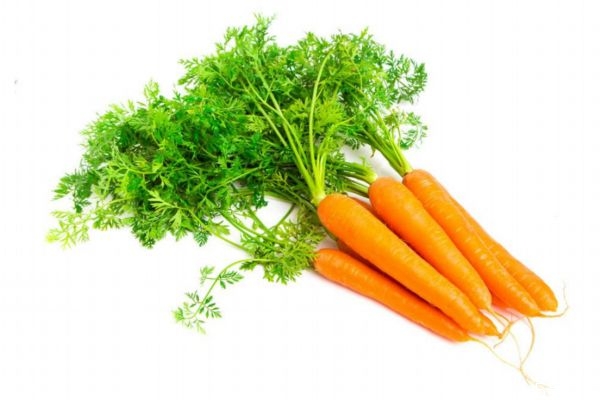 胡蘿卜一天吃一根行嗎 怎么挑選優(yōu)質(zhì)的胡蘿卜 胡蘿卜一天吃一根行嗎 怎么挑選優(yōu)質(zhì)的胡蘿卜