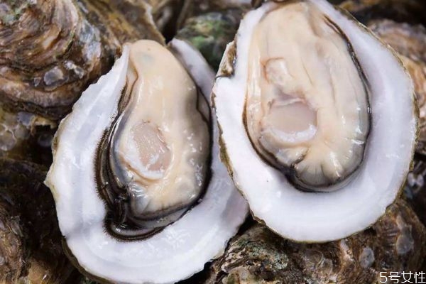 生蠔什么時(shí)候吃最好 生蠔什么季節(jié)最肥美 生蠔什么時(shí)候吃最好 生蠔什么季節(jié)最肥美