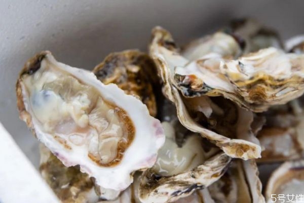 清洗生蠔的方法 生蠔應該怎么清洗 清洗生蠔的方法 生蠔應該怎么清洗