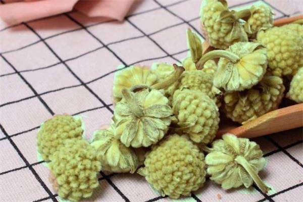 綠蘿花茶哪種人不能喝 綠蘿花茶適合什么人喝 綠蘿花茶哪種人不能喝 綠蘿花茶適合什么人喝