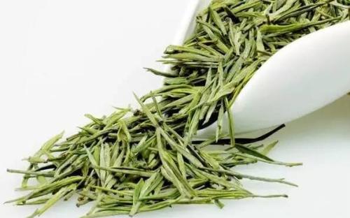 白毛茶有什么好處 白毛茶怎么泡 白毛茶有什么好處 白毛茶怎么泡