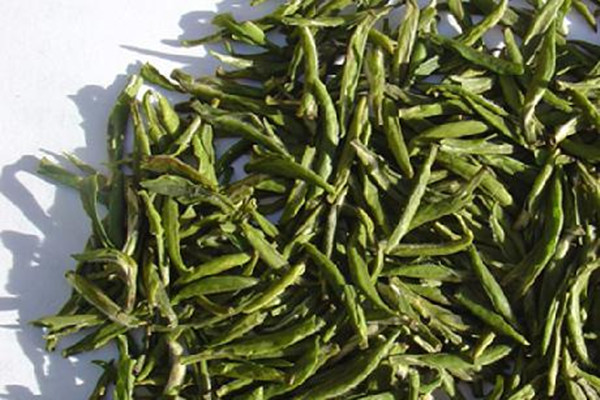 什么人適合喝仁化白毛茶 喝仁化白毛茶的禁忌 什么人適合喝仁化白毛茶 喝仁化白毛茶的禁忌