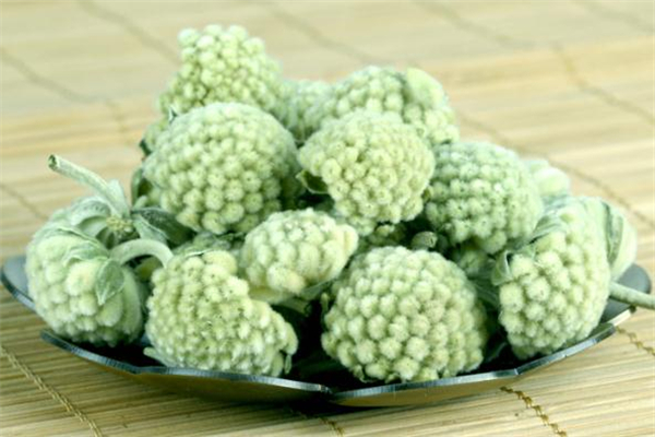 孕婦能喝綠蘿花茶嗎 月經(jīng)期能喝綠蘿花茶嗎 孕婦能喝綠蘿花茶嗎 月經(jīng)期能喝綠蘿花茶嗎