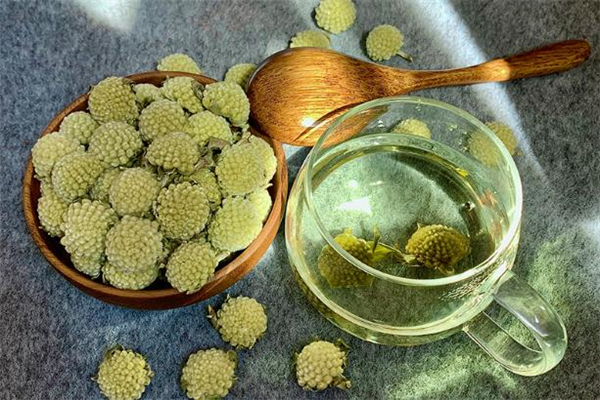 綠蘿花茶能降血糖嗎 糖尿病人可以喝綠蘿花茶嗎 綠蘿花茶能降血糖嗎 糖尿病人可以喝綠蘿花茶嗎