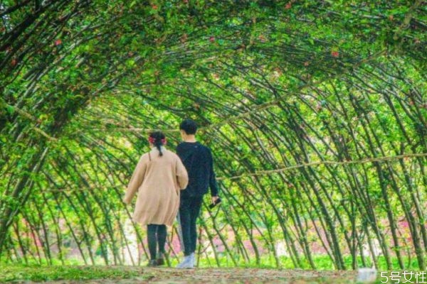 什么是佛系戀愛 佛系戀愛的表現(xiàn) 什么是佛系戀愛 佛系戀愛的表現(xiàn)