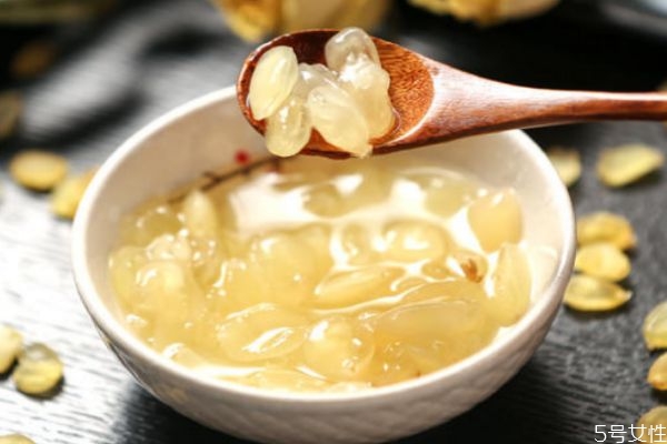 雪蓮子可以怎么吃 雪蓮子的吃法有什么 雪蓮子可以怎么吃 雪蓮子的吃法有什么