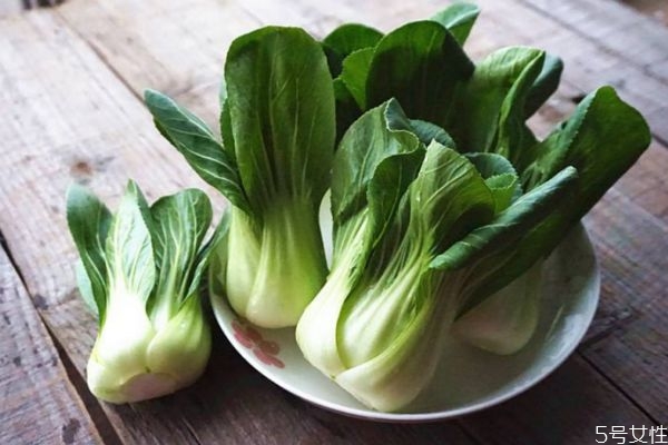 上海青有什么營養(yǎng)價值 吃上海青的好處有什么 上海青有什么營養(yǎng)價值 吃上海青的好處有什么