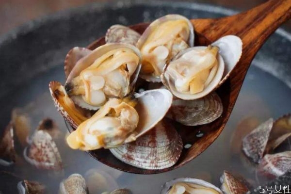 清洗花甲的方法 如何快速清洗花甲 清洗花甲的方法 如何快速清洗花甲