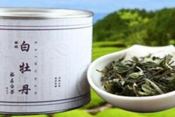 怎樣喝白牡丹茶減肥 喝白牡丹茶減肥要注意什么 怎樣喝白牡丹茶減肥 喝白牡丹茶減肥要注意什么