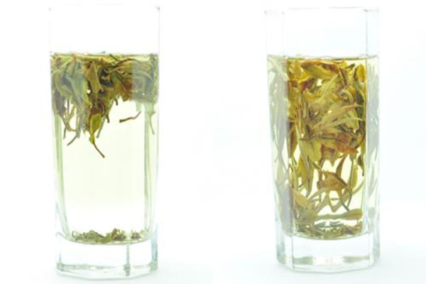 白牡丹茶喝了會失眠嗎 白牡丹茶對身體好嗎