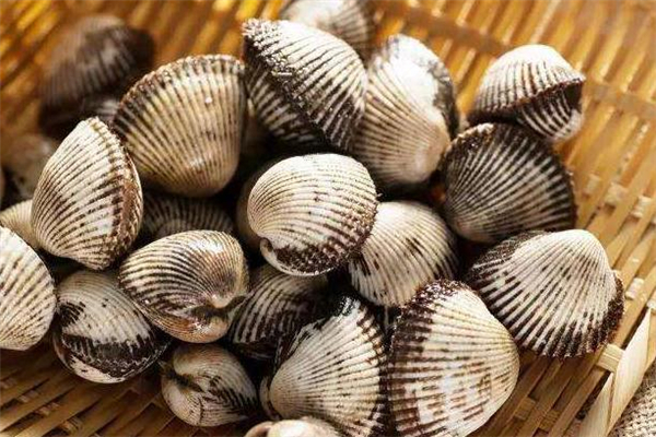 毛蚶吃多了會怎么樣 吃毛蚶會得甲肝嗎 毛蚶吃多了會怎么樣 吃毛蚶會得甲肝嗎