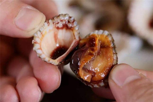 血蚶的做法 血蚶怎么做好吃 血蚶的做法 血蚶怎么做好吃