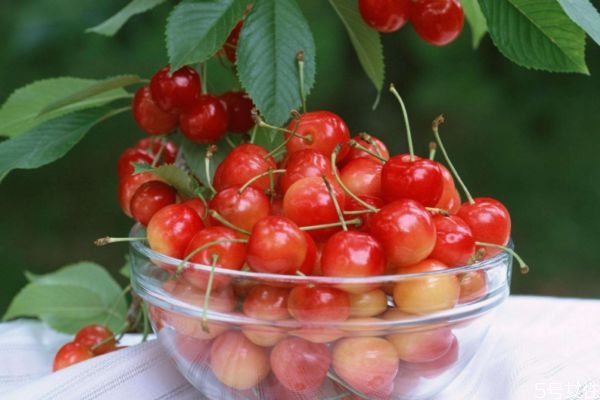 櫻桃酒的簡單泡法 櫻桃酒應(yīng)該怎么泡 櫻桃酒的簡單泡法 櫻桃酒應(yīng)該怎么泡