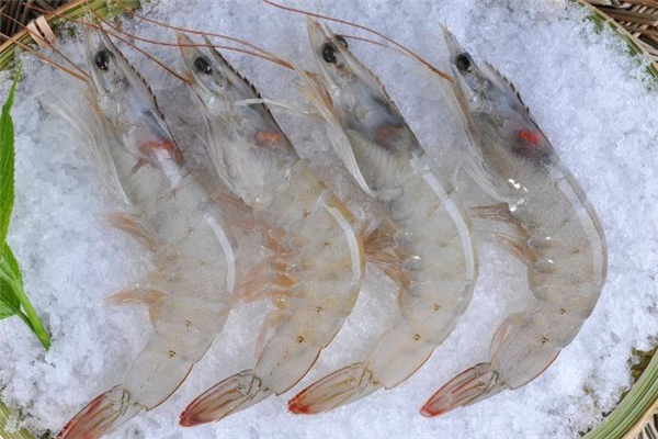 白蝦怎么處理干凈 白蝦怎么清洗 白蝦怎么處理干凈 白蝦怎么清洗
