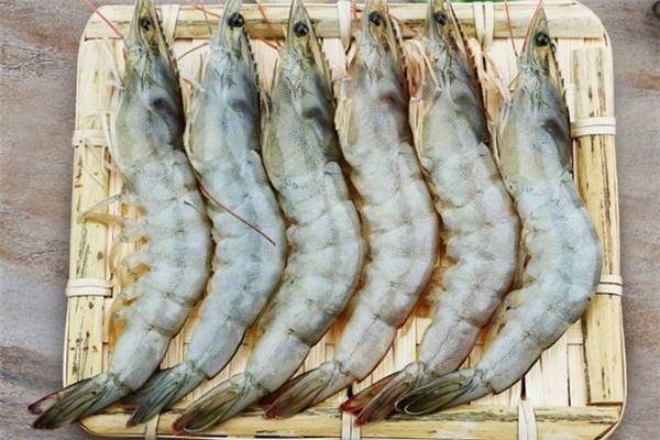 白蝦不能和什么一起吃 白蝦什么人不能吃 白蝦不能和什么一起吃 白蝦什么人不能吃