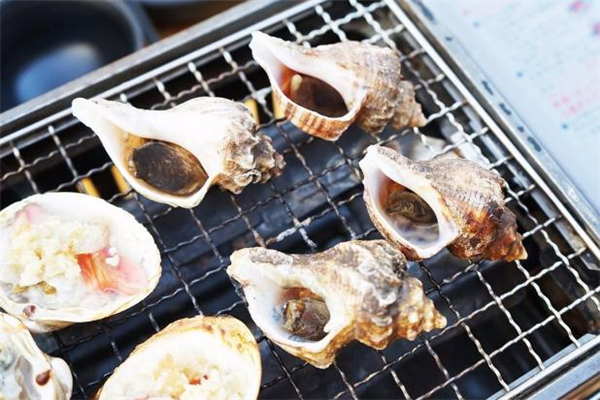 海螺沒煮熟能吃嗎 海螺的頭部能吃嗎 海螺沒煮熟能吃嗎 海螺的頭部能吃嗎