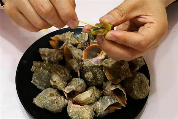 海螺不能和什么一起吃 海螺內(nèi)臟可以吃嗎 海螺不能和什么一起吃 海螺內(nèi)臟可以吃嗎