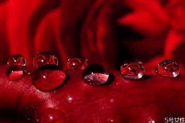 玫瑰精油的作用有什么 什么是玫瑰精油的作用 玫瑰精油的作用有什么 什么是玫瑰精油的作用