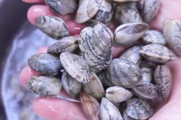 怎么判斷花甲死沒死 判斷花甲死沒死的方法