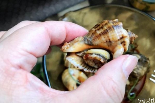 海螺要煮多久才會(huì)熟 一般海螺煮多久會(huì)熟 海螺要煮多久才會(huì)熟 一般海螺煮多久會(huì)熟