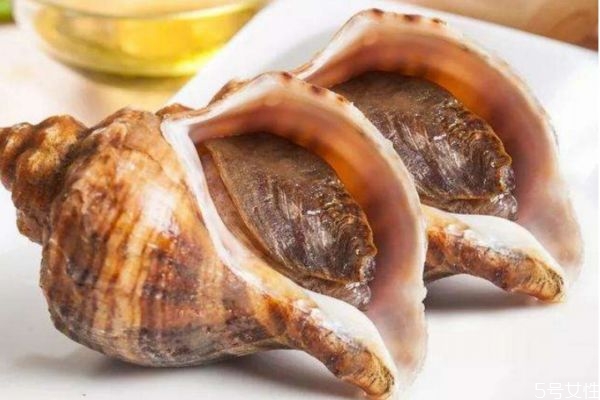 海螺應該怎么清洗 清洗海螺的方法有什么 海螺應該怎么清洗 清洗海螺的方法有什么