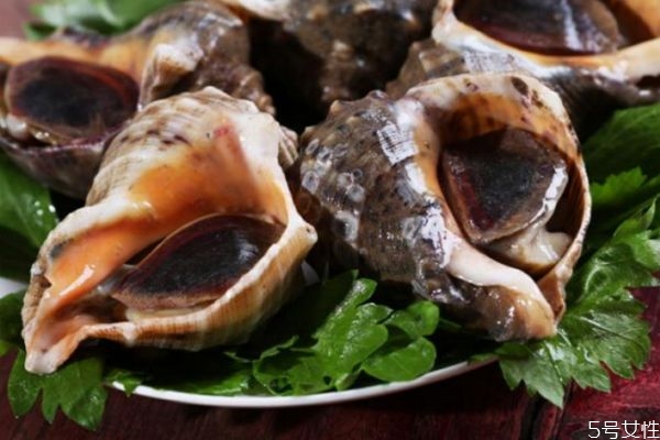 如何挑選海螺 挑選海螺的方法 如何挑選海螺 挑選海螺的方法