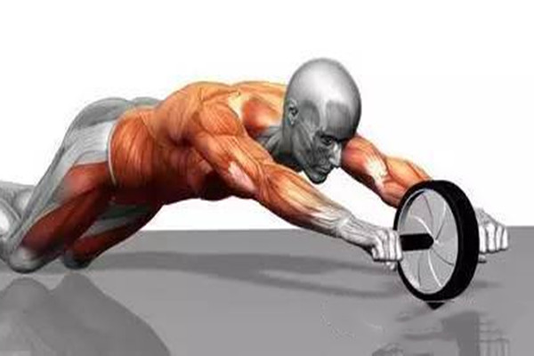 女生適合練腹肌輪嗎 腹肌輪和仰臥板哪個(gè)適合新人 女生適合練腹肌輪嗎 腹肌輪和仰臥板哪個(gè)適合新人