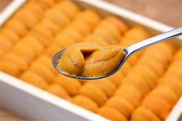 海膽沒有黃是為什么 海膽沒有黃能吃嗎 海膽沒有黃是為什么 海膽沒有黃能吃嗎