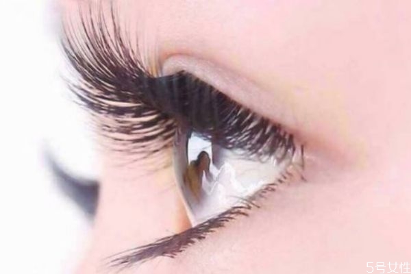 種了睫毛可以用蒸汽眼罩嗎 種完睫毛可以戴眼罩嗎 種了睫毛可以用蒸汽眼罩嗎 種完睫毛可以戴眼罩嗎