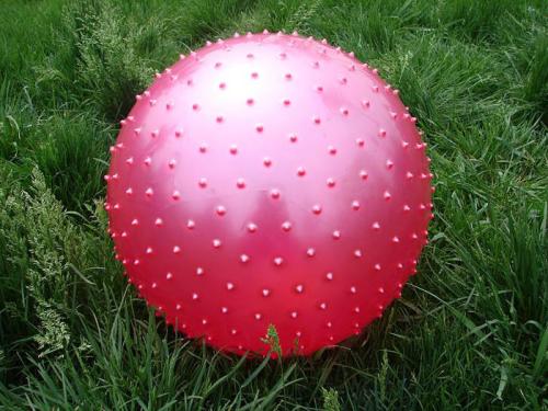 健身球運(yùn)動(dòng)的注意事項(xiàng) 健身球做在健身球上的作用 健身球運(yùn)動(dòng)的注意事項(xiàng) 健身球做在健身球上的作用