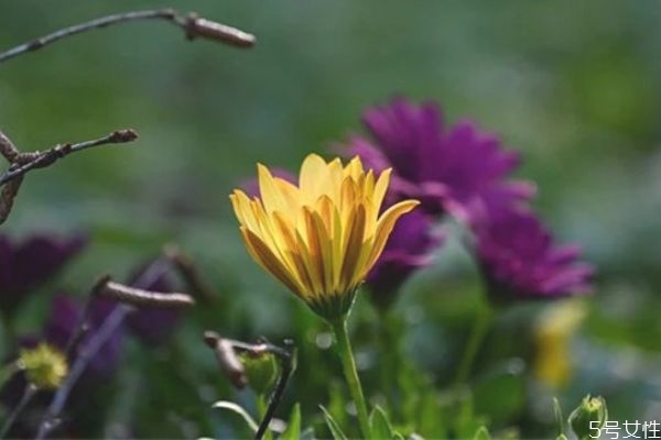 沒(méi)有感情的婚姻該不該為了孩子維持 有一種婚姻叫為了孩子