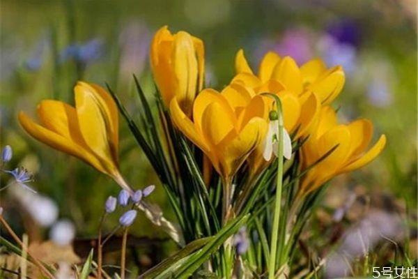 沒(méi)有感情的婚姻該不該為了孩子維持 有一種婚姻叫為了孩子