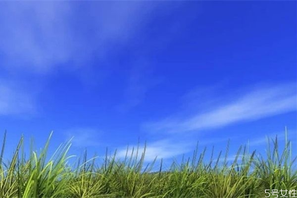 鳳凰男為什么沒有真愛 鳳凰男的劣根性 鳳凰男為什么沒有真愛 鳳凰男的劣根性