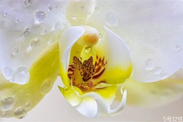 老公愛(ài)上了小三怎么辦 分離老公和小三的方法 老公愛(ài)上了小三怎么辦 分離老公和小三的方法