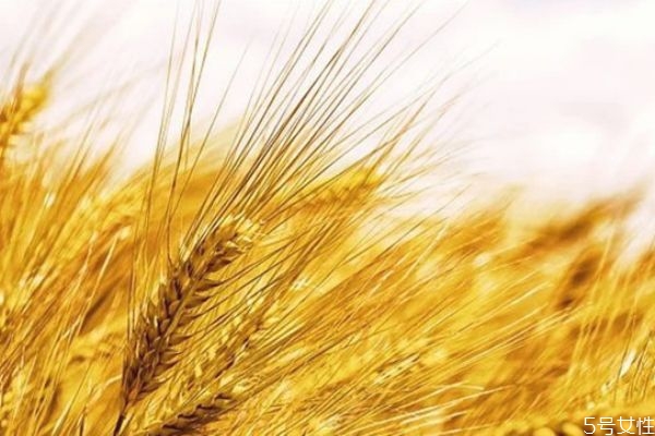 知道丈夫出軌又不想離婚怎么辦 怎樣放下老公出軌的事 知道丈夫出軌又不想離婚怎么辦 怎樣放下老公出軌的事