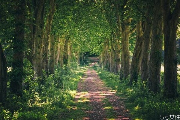 老公出軌了也和小三斷了應(yīng)不應(yīng)該原諒 老公出軌原諒嗎 老公出軌了也和小三斷了應(yīng)不應(yīng)該原諒 老公出軌原諒嗎