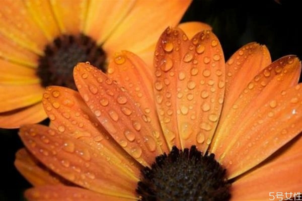 老公愛(ài)上了小三怎么辦 分離老公和小三的方法 老公愛(ài)上了小三怎么辦 分離老公和小三的方法