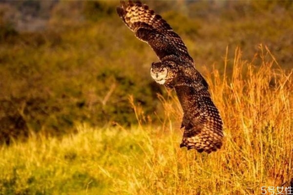 夫妻冷戰(zhàn)怎么辦 夫妻經(jīng)常冷戰(zhàn)會怎么樣 夫妻冷戰(zhàn)怎么辦 夫妻經(jīng)常冷戰(zhàn)會怎么樣