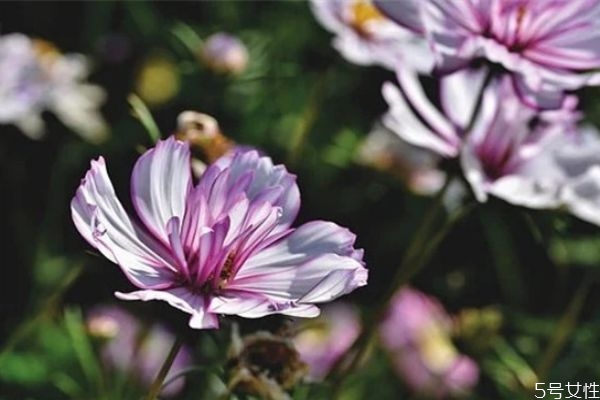 夫妻感情破裂能挽回嗎 如何處理好夫妻感情 夫妻感情破裂能挽回嗎 如何處理好夫妻感情